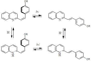 схема реакций протонирования и фотоизомеризации производных 2-стирилхинолина