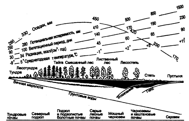 схема изменения климата, растительности и почв вдоль профиля через основные ландшафты европейской части россии с северо-запада на юго-восток до прикаспийской низменности (по в. н. сукачеву, 1934)