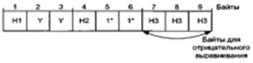 структура указателя кадра модуля stm-1