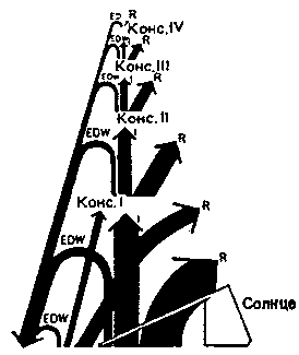 пирамида энергии (из ф. рамада, 1981)