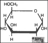 глюкозамин (2-амино- d-глюкопираноза) (б-форма)
