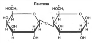 структура ряда важных дисахаридов