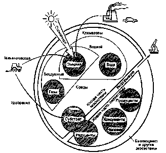 экологические компоненты (по н. ф. реймерсу, 1994)