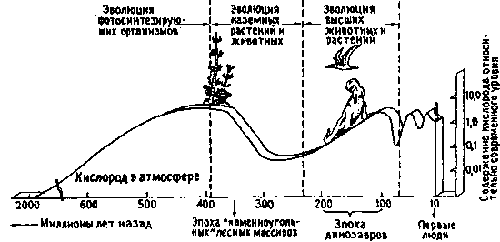 происхождение кислорода в атмосфере (по е. одуму, 1971)