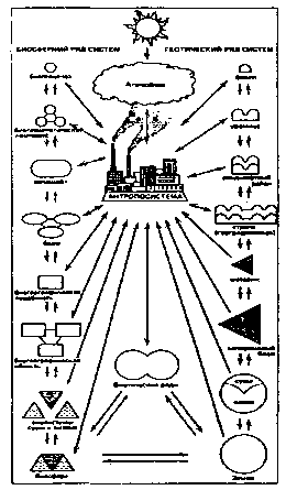 иерархические ряды природных систем и их связи с антропосистемой нашего времени (по н. ф. реймерсу, 1990). примечание