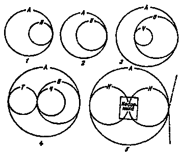 стадии эволюции биосферы, представленные в виде последовательно вовлекаемых в круговорот циклов